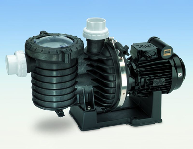 5P6R STA-RITE Kunststoffpumpe, die zuverlässige Schwimmbadpumpe