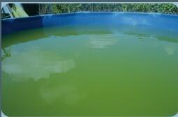 Marina Agenschutzmittel