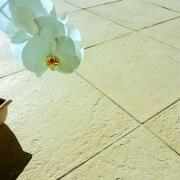 Pflasterplatten_Olympia_Roma_Indian_Beige4_2_kk