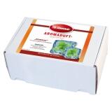 Aroma-Duftbox von Finnsa Eisminze