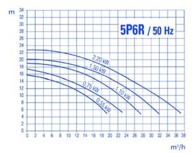 5P6R STA-RITE Kunststoffpumpe, die zuverlässige Schwimmbadpumpe