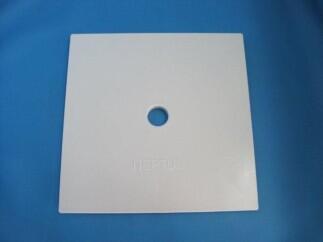 Deckel für Skimmer Neptun