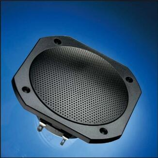 Breitbandlautsprecher FRS 10 WP für die Sauna (4 )