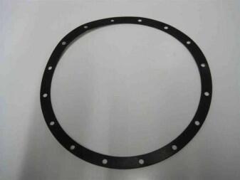 Flachdichtung für Unterwasserscheinwerfer 300 Watt, Future Pool