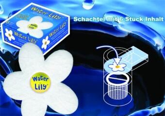 Water Lily