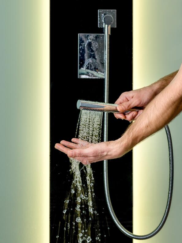 Handbrause der Tylö Vista