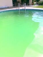 grünes, klares Schwimmbadwasser oder braunes Wasser