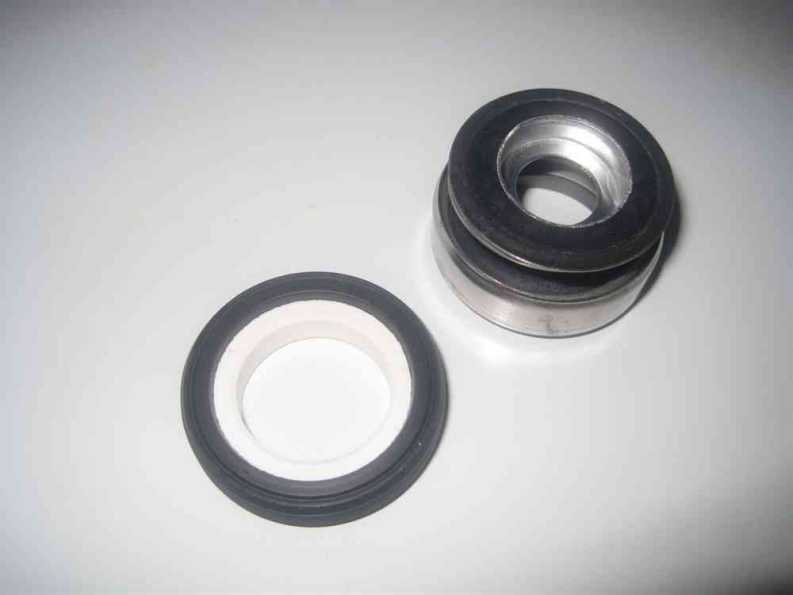 Gleitringdichtung Badu 90 15 - 20